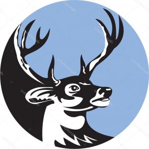 300x300 Png White Tailed Deer Clip Art Vector Graphics Drawing Sohadacouri