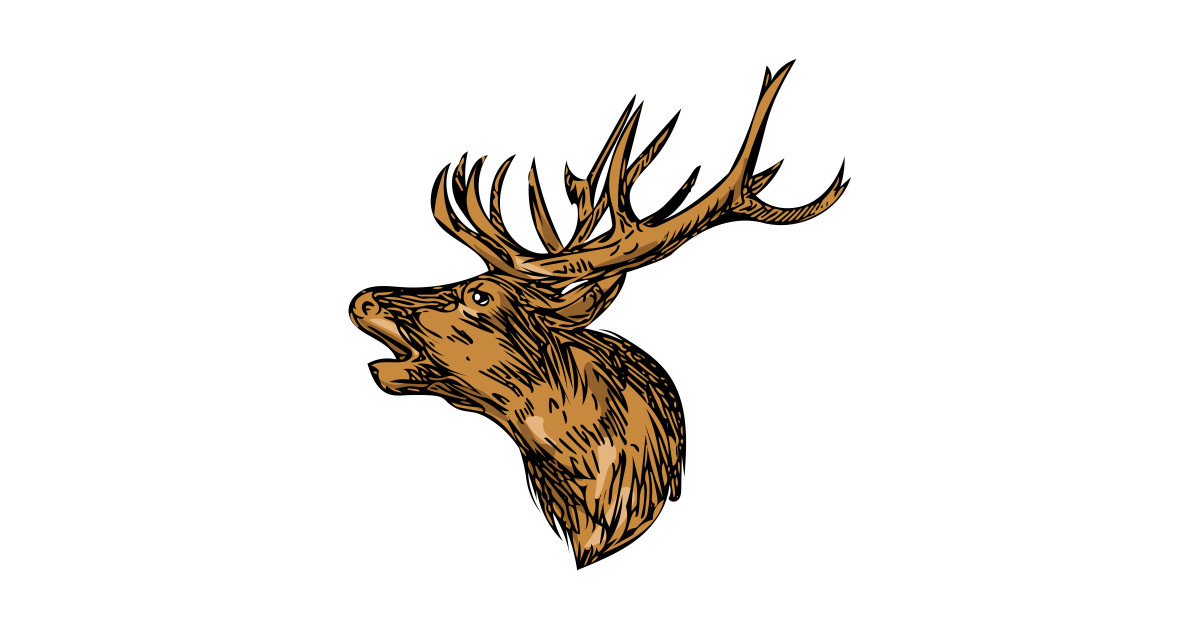 1200x630 Red Deer Stag Head Roaring Drawing