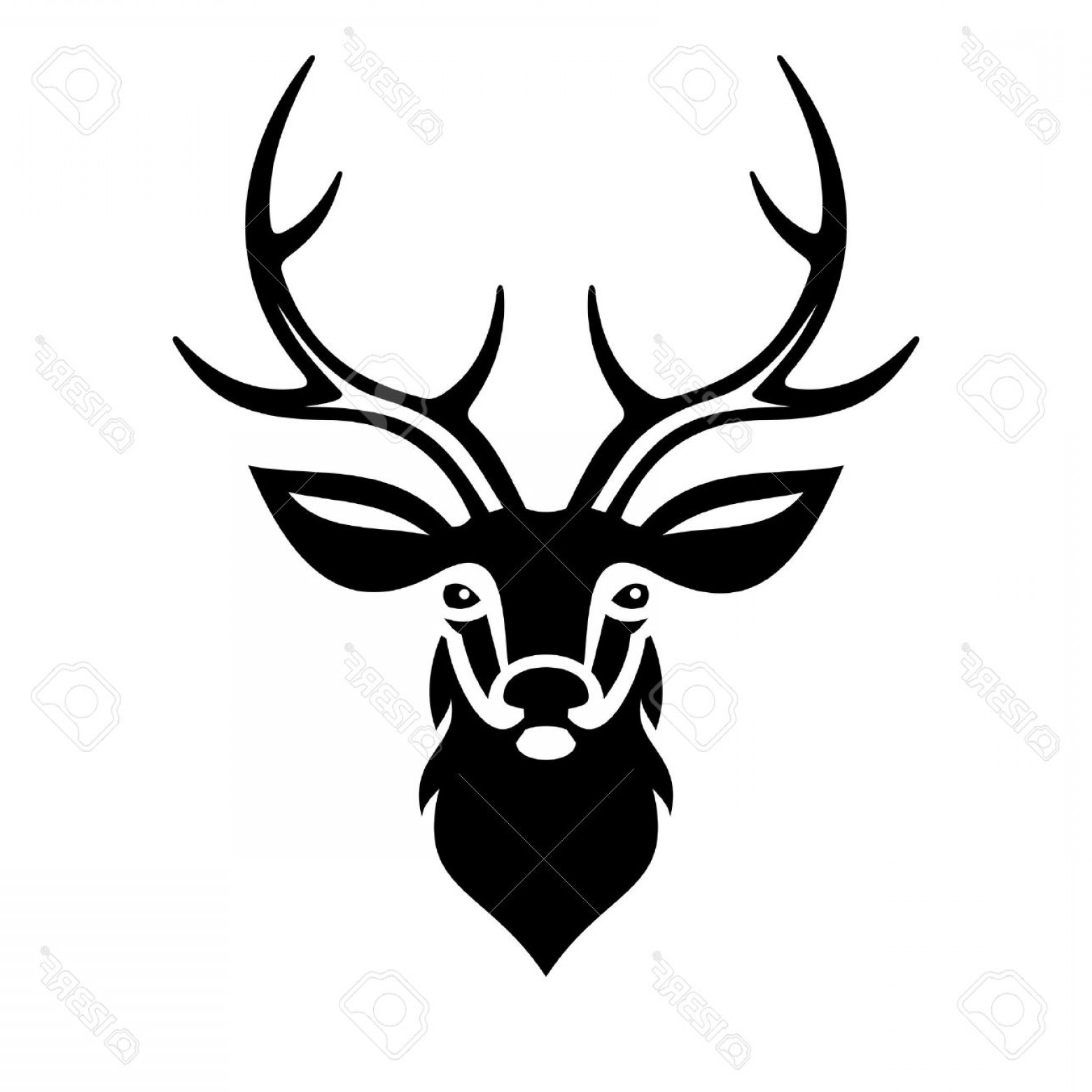1560x1560 Buck Vector Art Sohadacouri