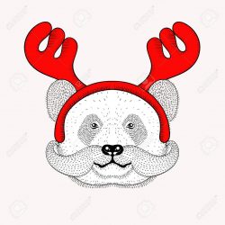 250x250 Caribou Antler Drawing Buck Line Moose Shed A Deer Flowers