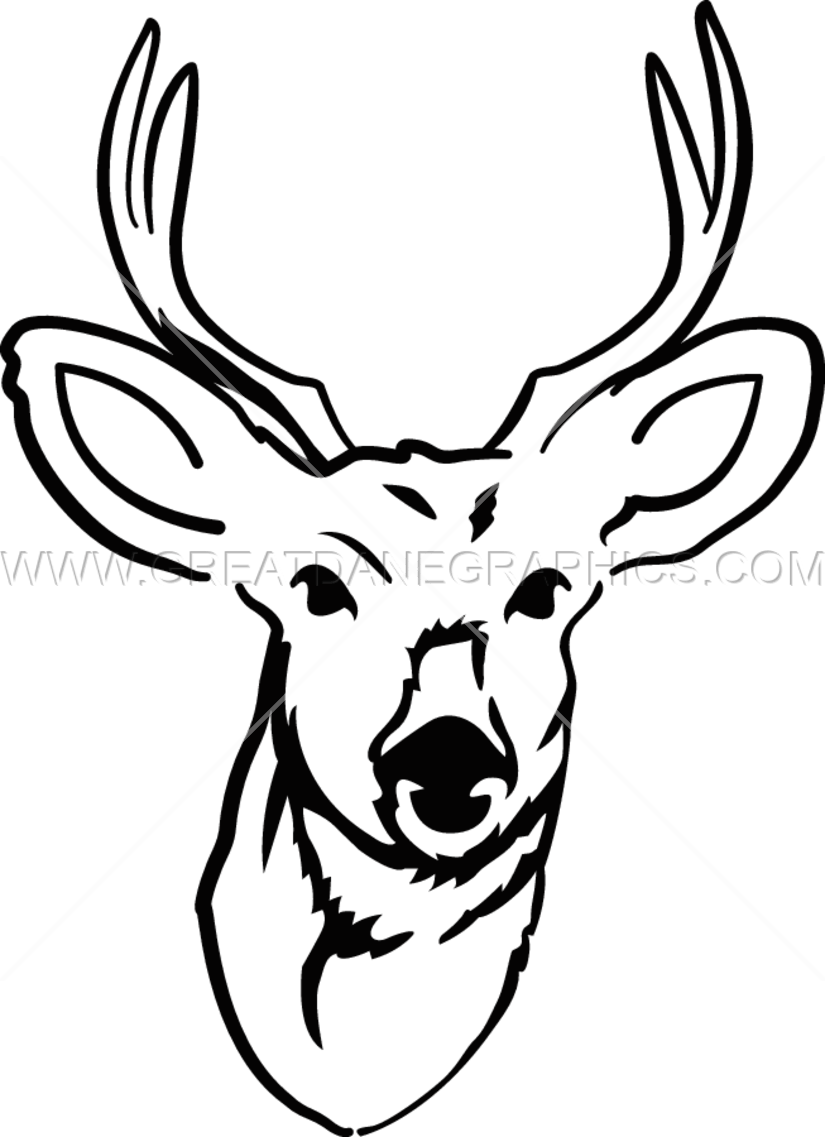 825x1137 Collection Of Free Buck Drawing Download On Ui Ex