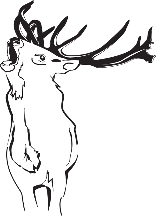 500x694 Horns Vector Buck Transparent Png Clipart Free Download