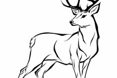 236x157 starbuck coffee draw buck converter pencil curtains lyrics