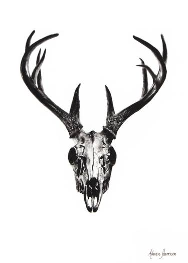 375x525 Deer Skull Drawing