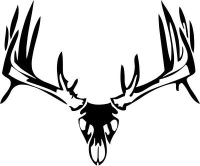 400x332 Deer Skull Patterns