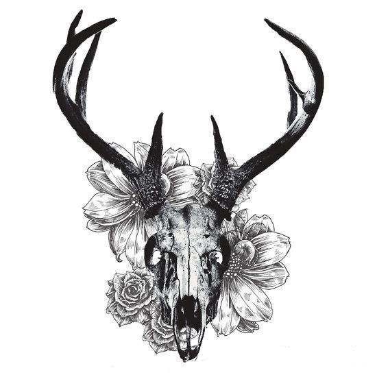 550x550 Drawn Deer Deer Skull