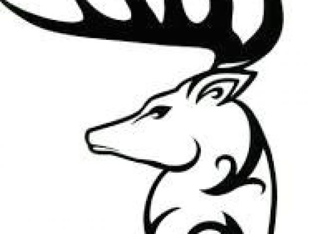 640x480 Easy Drawings Deer Image Result For Deer Skull Drawing Easy Wood