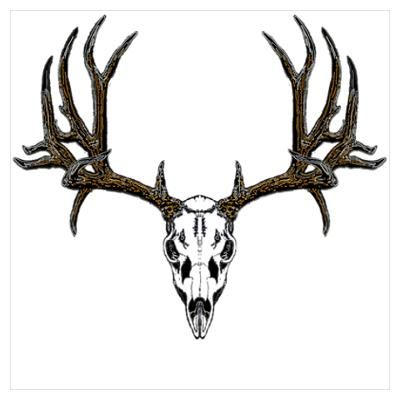 400x400 european mount mule deer my ideas deer skull drawing, deer
