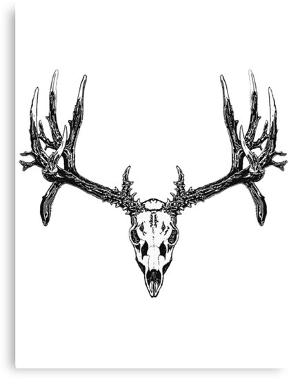 422x550 Monster Mule Deer Skull Canvas Print