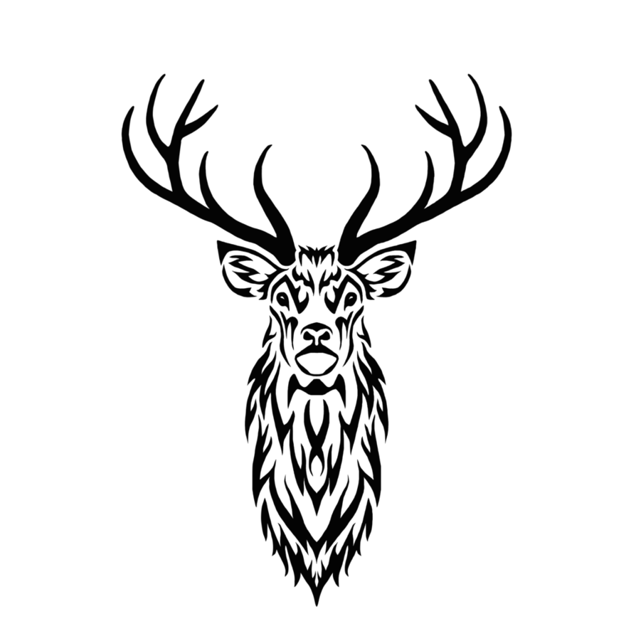 894x894 Collection Of Free Cauldron Drawing Deer Skull Download On Ui Ex