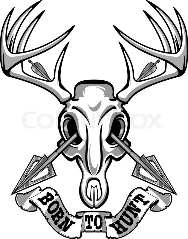 629x800 Crossing Hunting Arrows And Deer Skull Stock Vector Colourbox