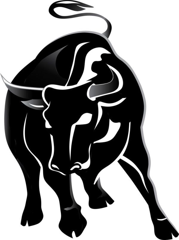 600x804 Bull Drawing Silhouette For Free Download