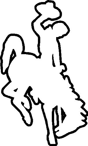 Bucking Horse Drawing