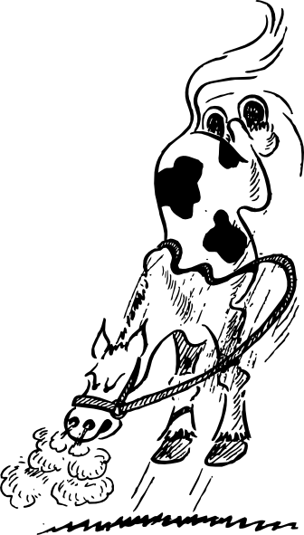 336x591 Bucking Horse Drawing Clip Art