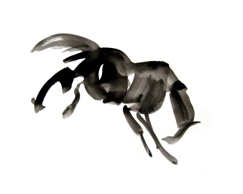 794x635 Bucking Horse Fine Art Print From Original Drawing