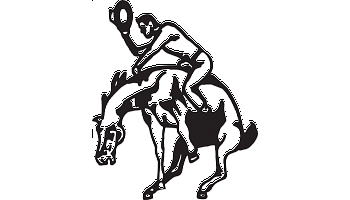 350x200 Cowboy On A Bucking Horse Decal