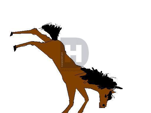 512x384 How To Draw A Bucking Horse, Step