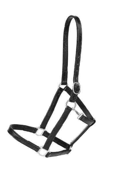 402x600 Tory Leather Halter