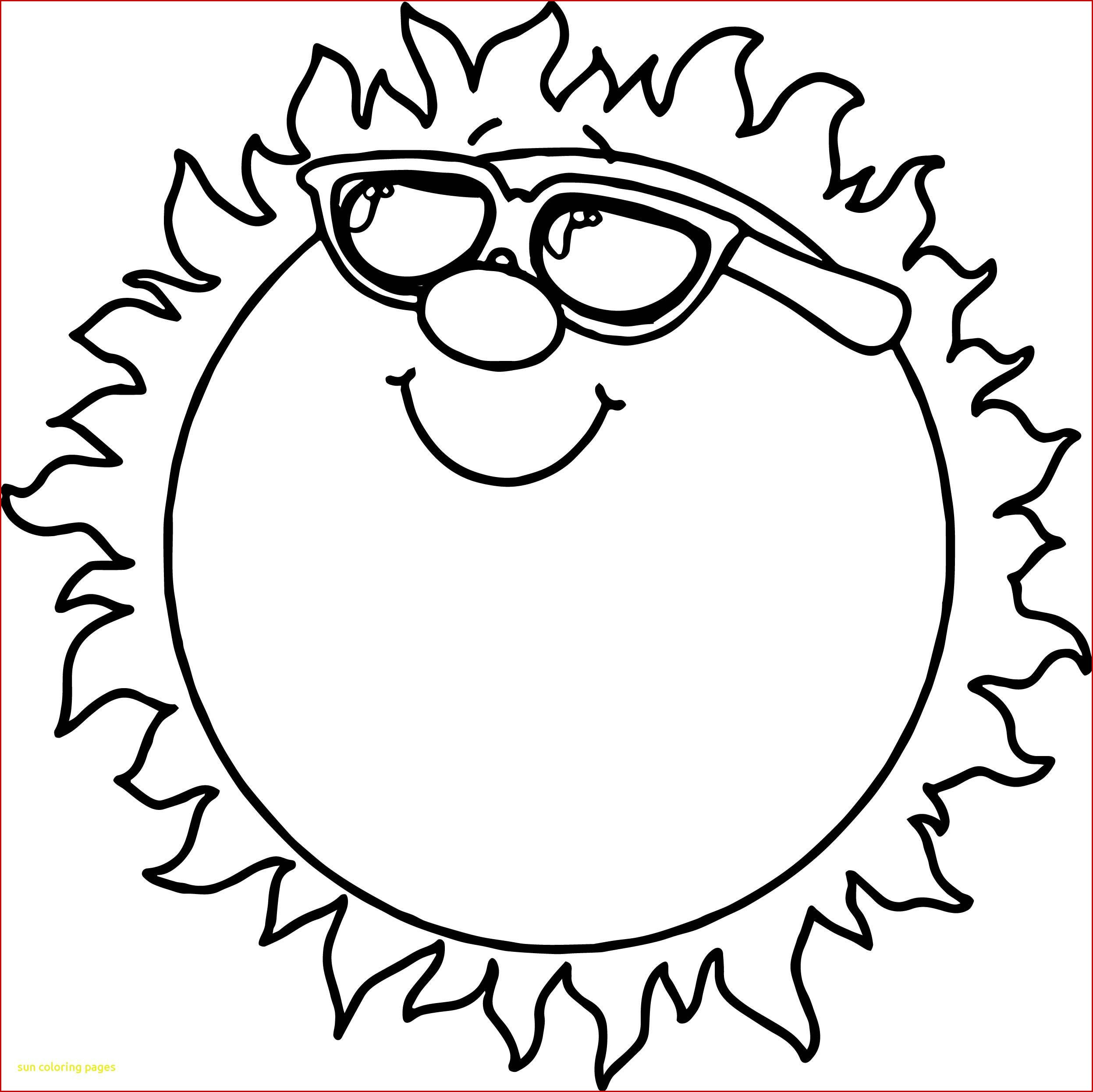 2494x2493 Beginning Drawing Drawing Tutorials For Beginners A Bud