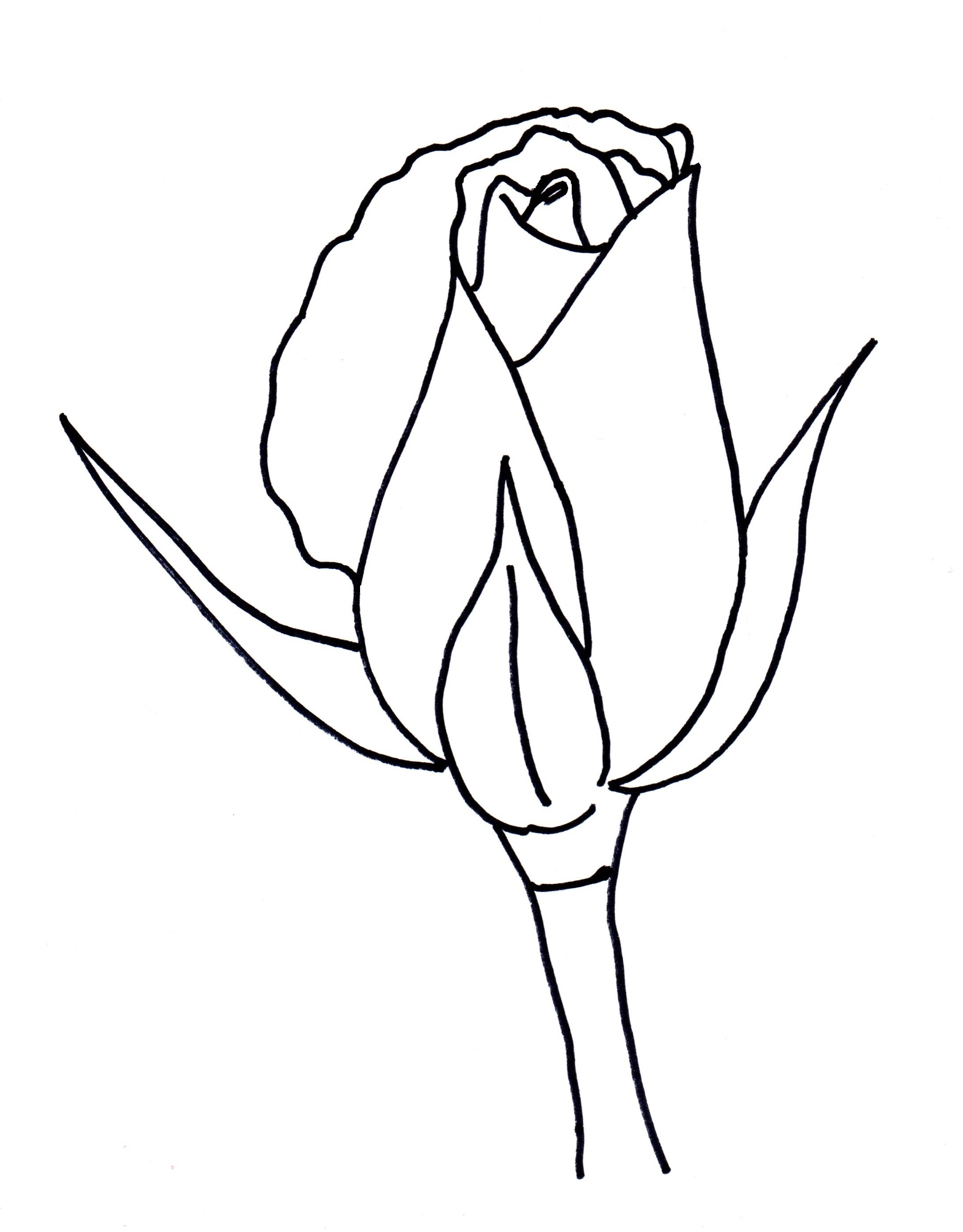 2177x2785 How To Draw A Rose Bud