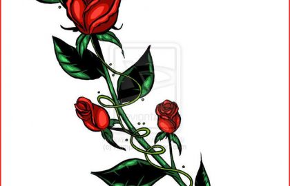 420x270 Rose Bud Drawing Rose Flower Drawing Step Step