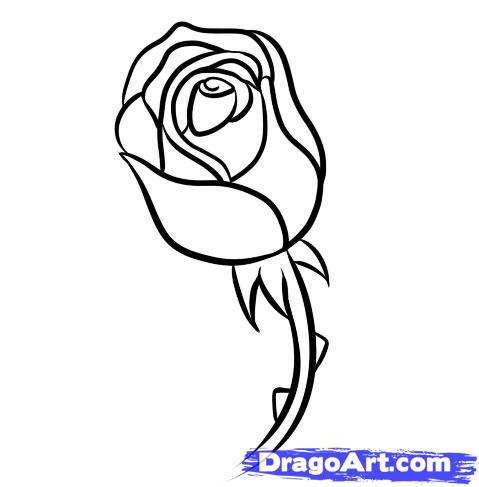 479x487 Draw A Rose Bud, Step