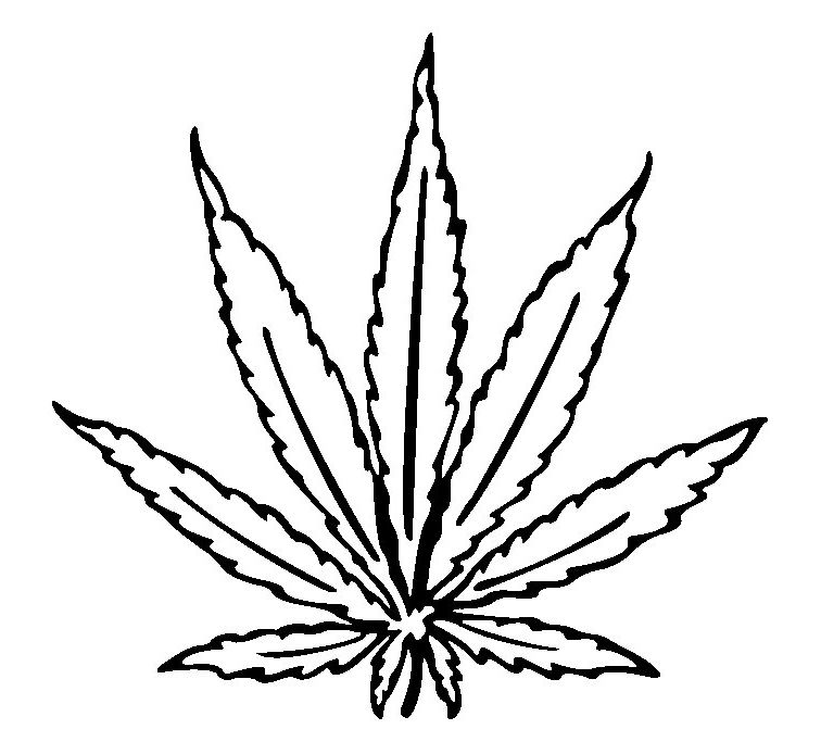 756x683 Collection Of 'marijuana Leaf Drawing' Download More Than