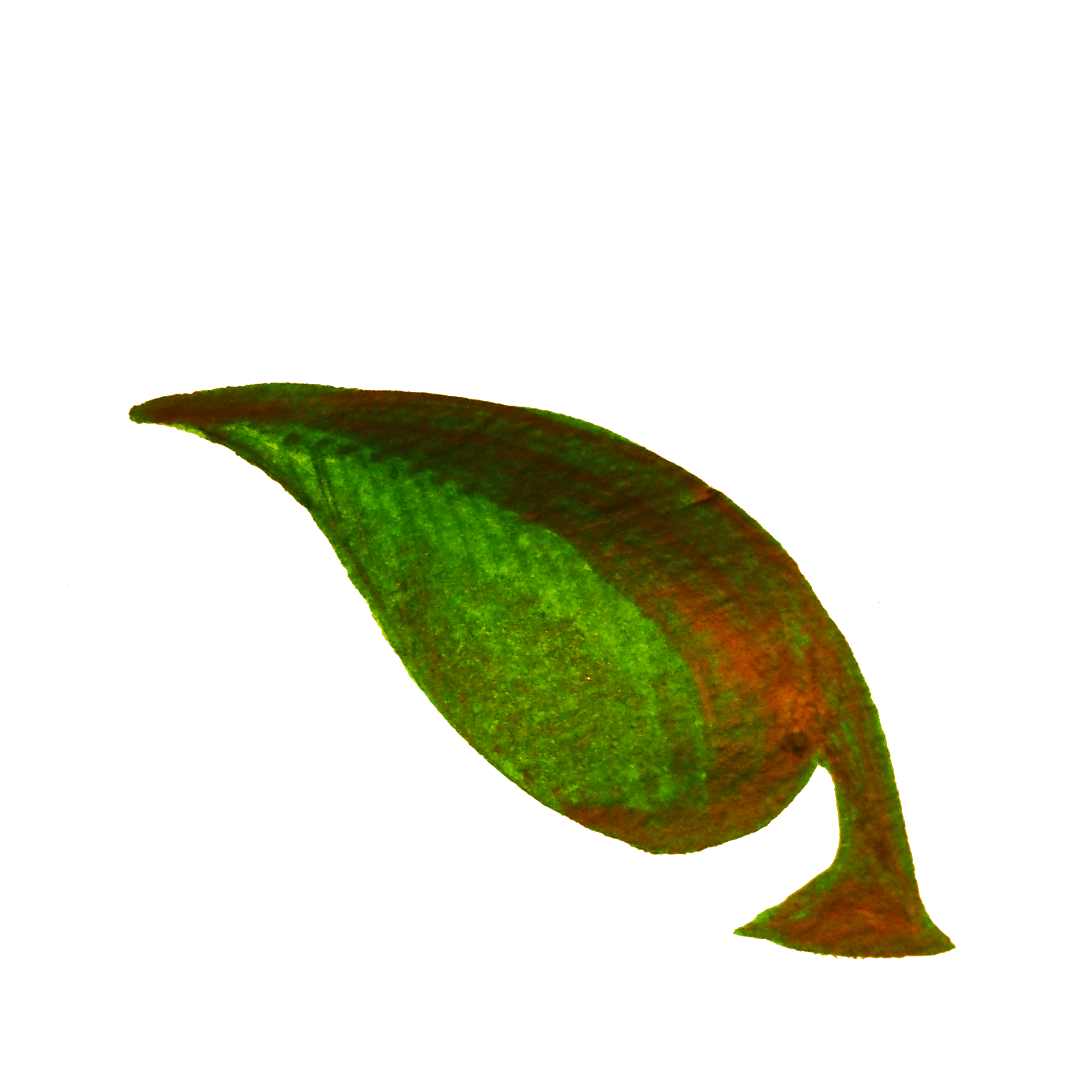 2400x2400 Twig Drawing Bud Transparent Png Clipart Free Download