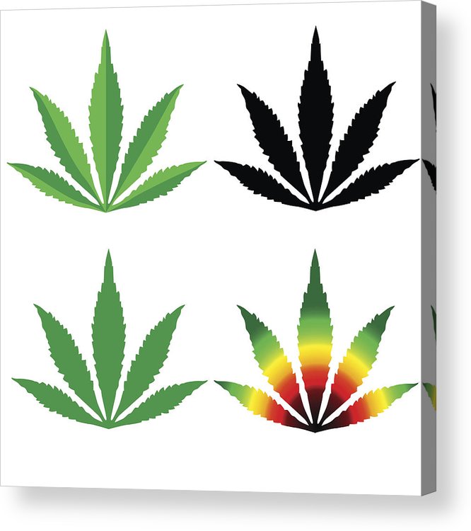 666x750 Cannabis Leaf Flat Design Set