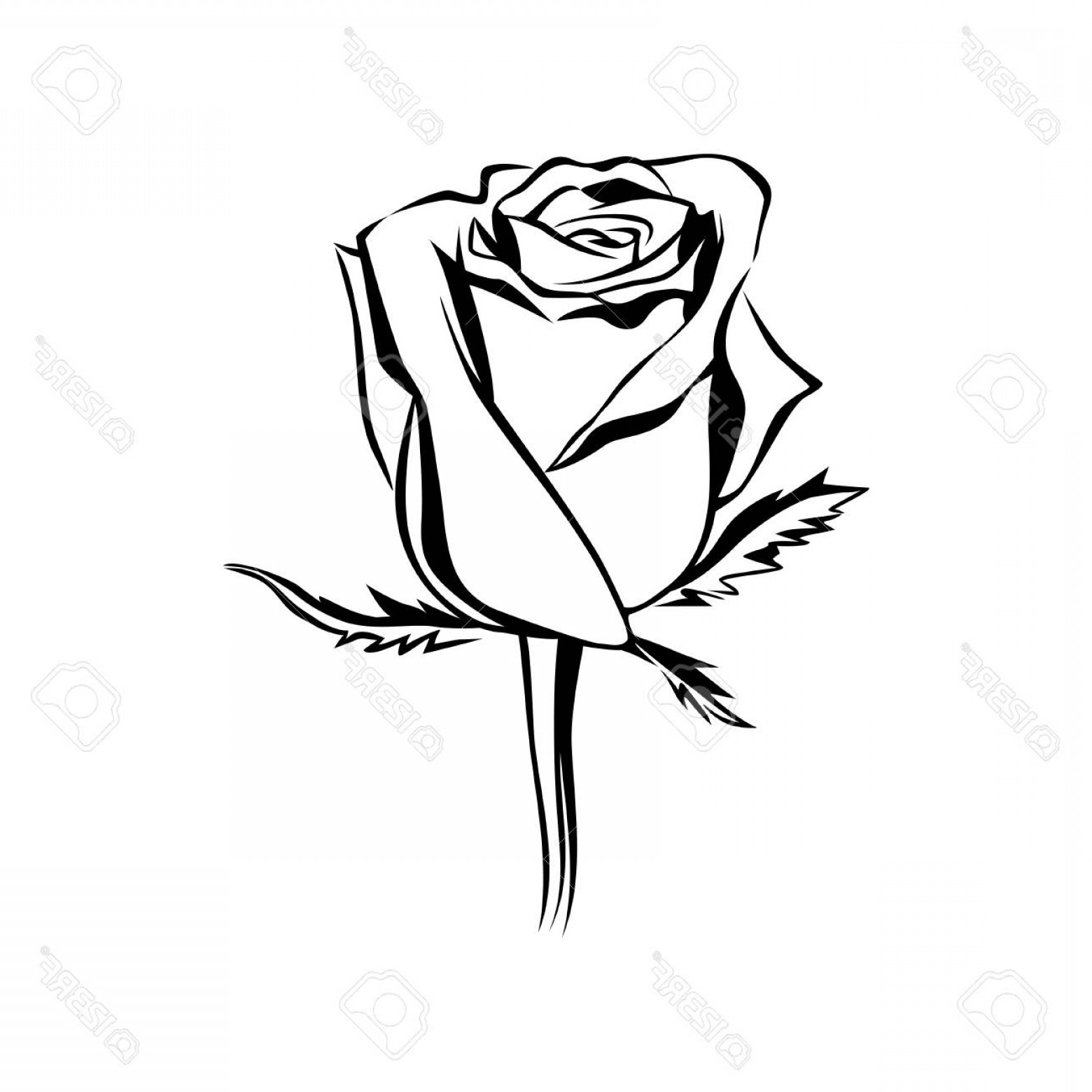 1560x1560 Rose Bud Clip Art Vector Hoodamathrun