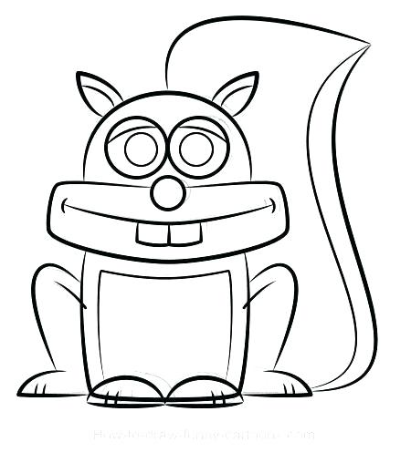450x508 how to draw squirrel draw squirrel draw squirrel image