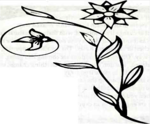 300x249 Faith Its Role And Meaning In A Buddhist Wisdom Tradition