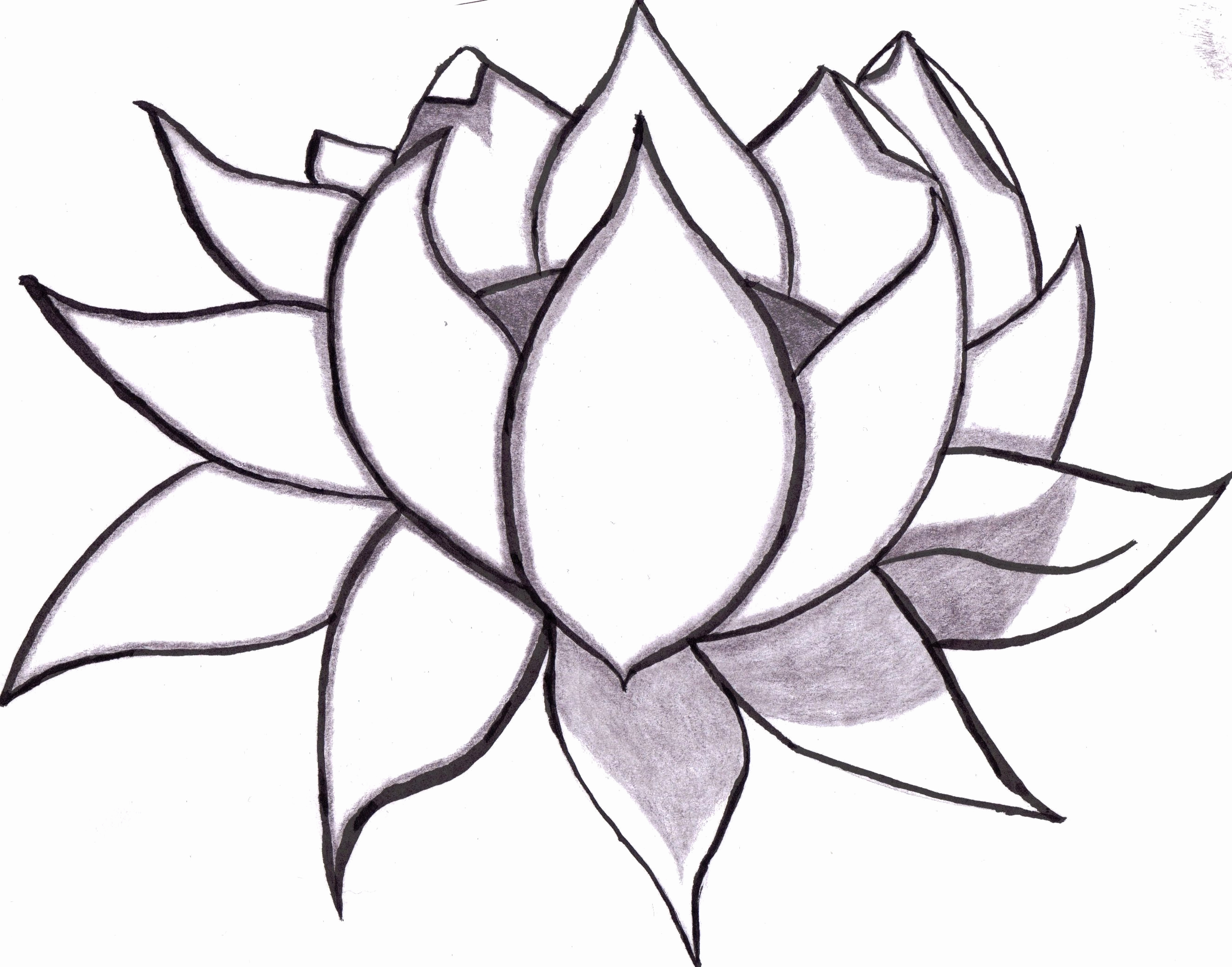 2646x2077 Drawing Lotus Inspirational Tatto Ideas Waterproof Temporary