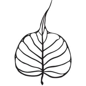 300x300 Flowers An Excerpt From The Dhammapada Shambhala