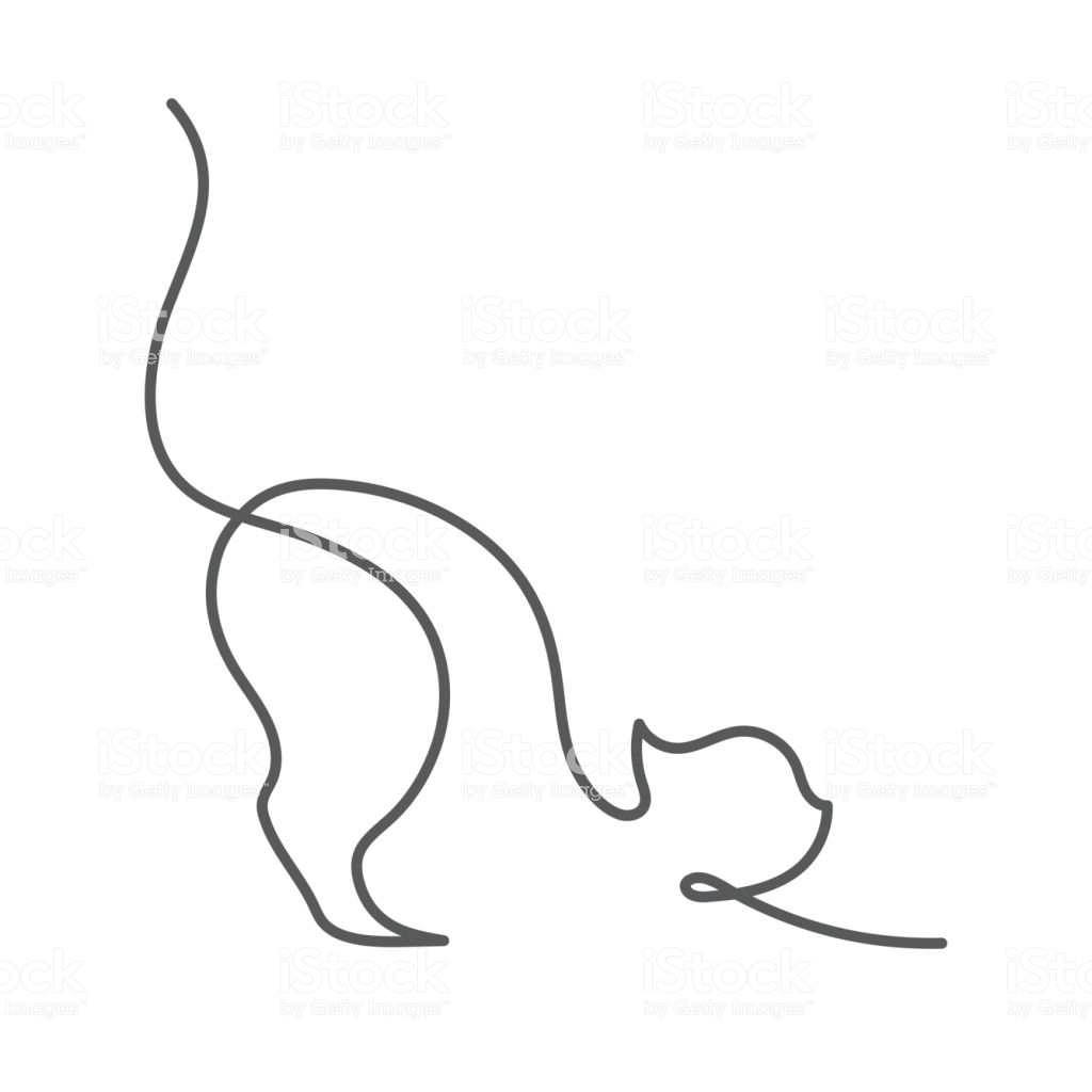 1024x1024 Huge Collection Of 'line Drawing Of Cat' Download More Than