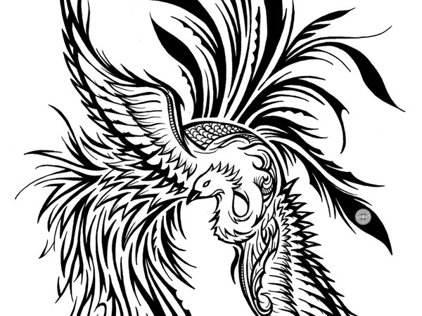 600x450 This Peacock Tattoo Outline Best Design