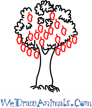 300x350 How To Draw A Mango Tree
