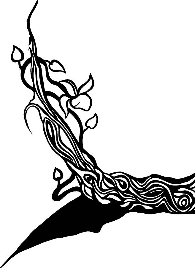 657x900 Tree Drawing Vine For Free Download