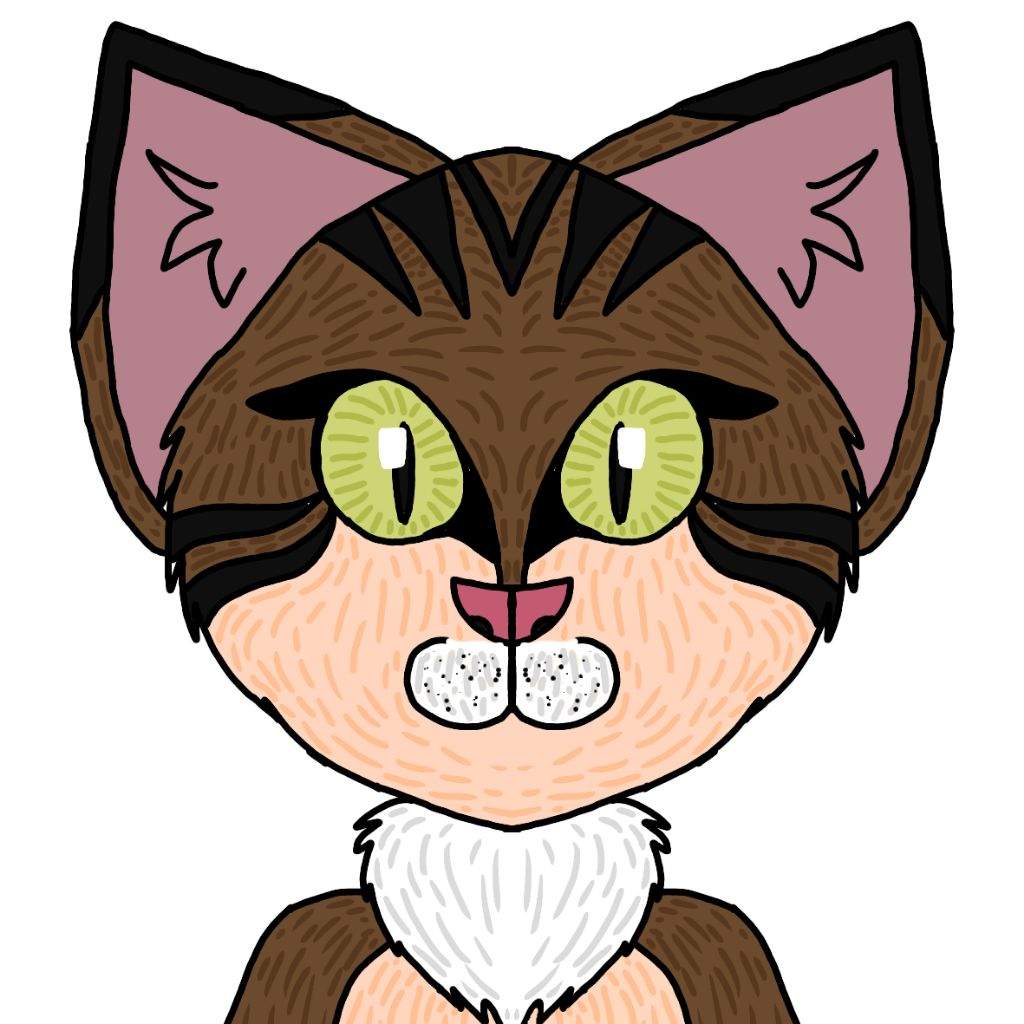 1024x1024 Drawing Of My Kittypet Buddy Warriors Amino