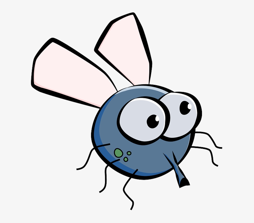 820x720 Housefly, House Fly, Fly, Insect, Wings, Eyes, Cartoon
