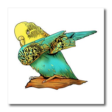 Budgie Drawing