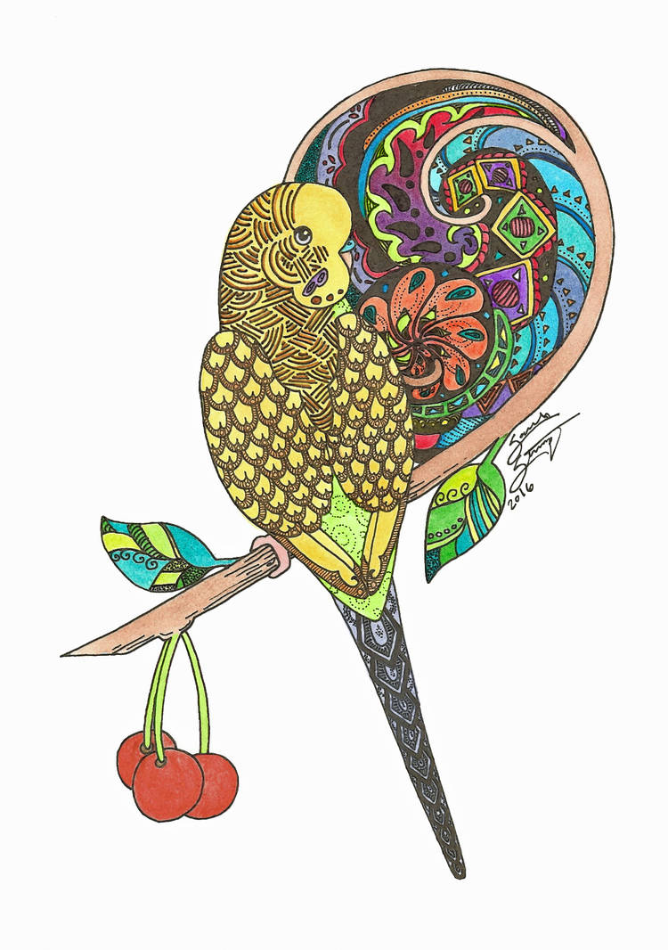 750x1066 cinnamon green budgie tangle drawing