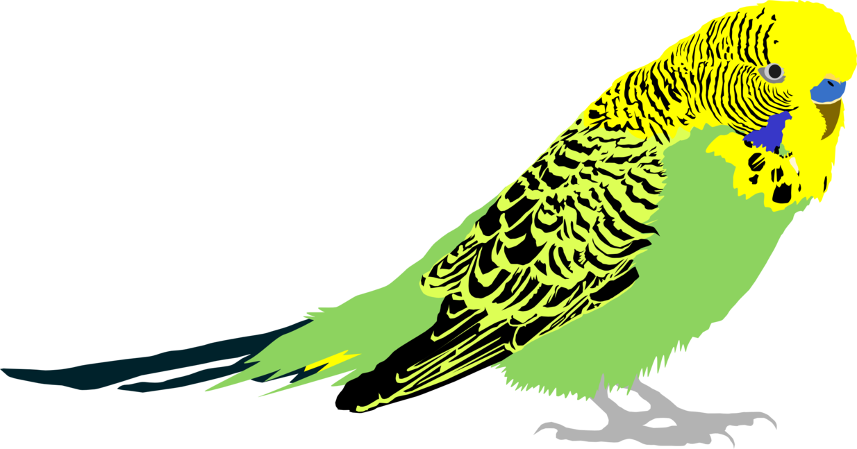1234x647 collection of free footprint drawing budgie download on ui ex