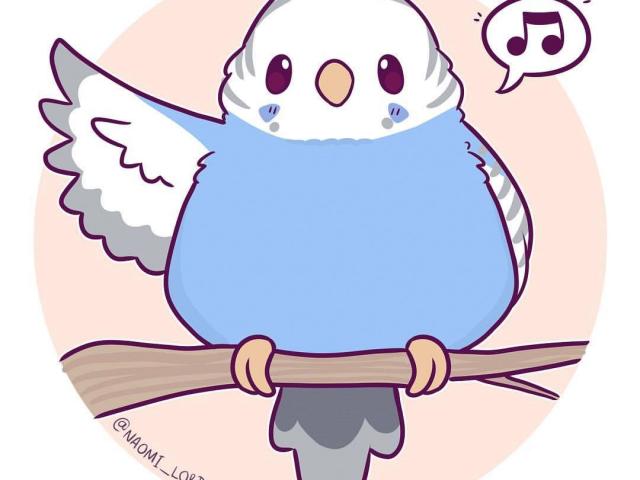 640x480 free budgie clipart, download free clip art