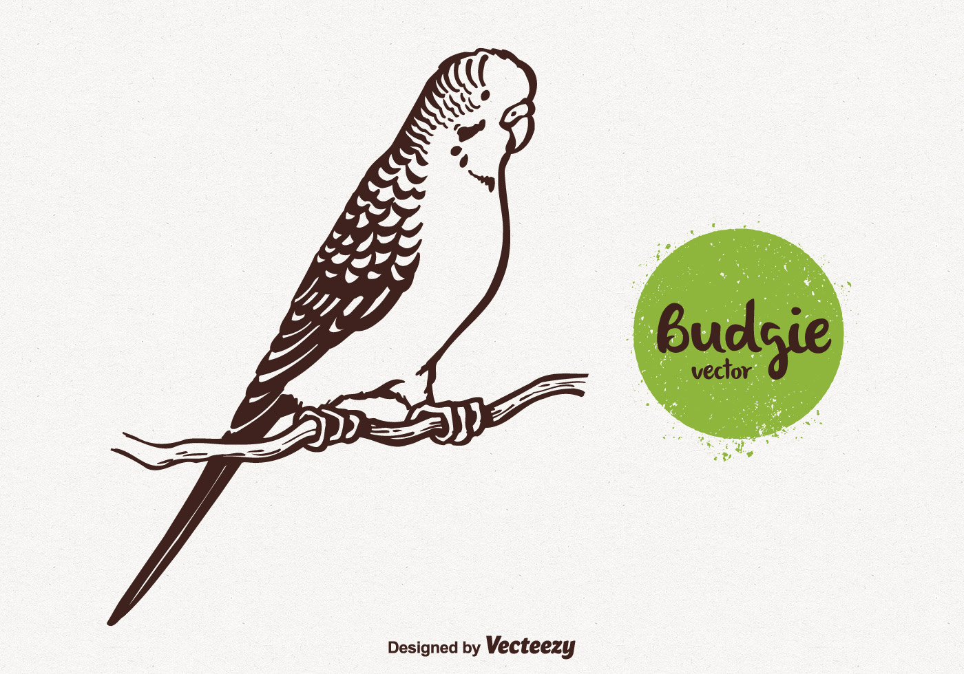 1400x980 free budgie vector illustration