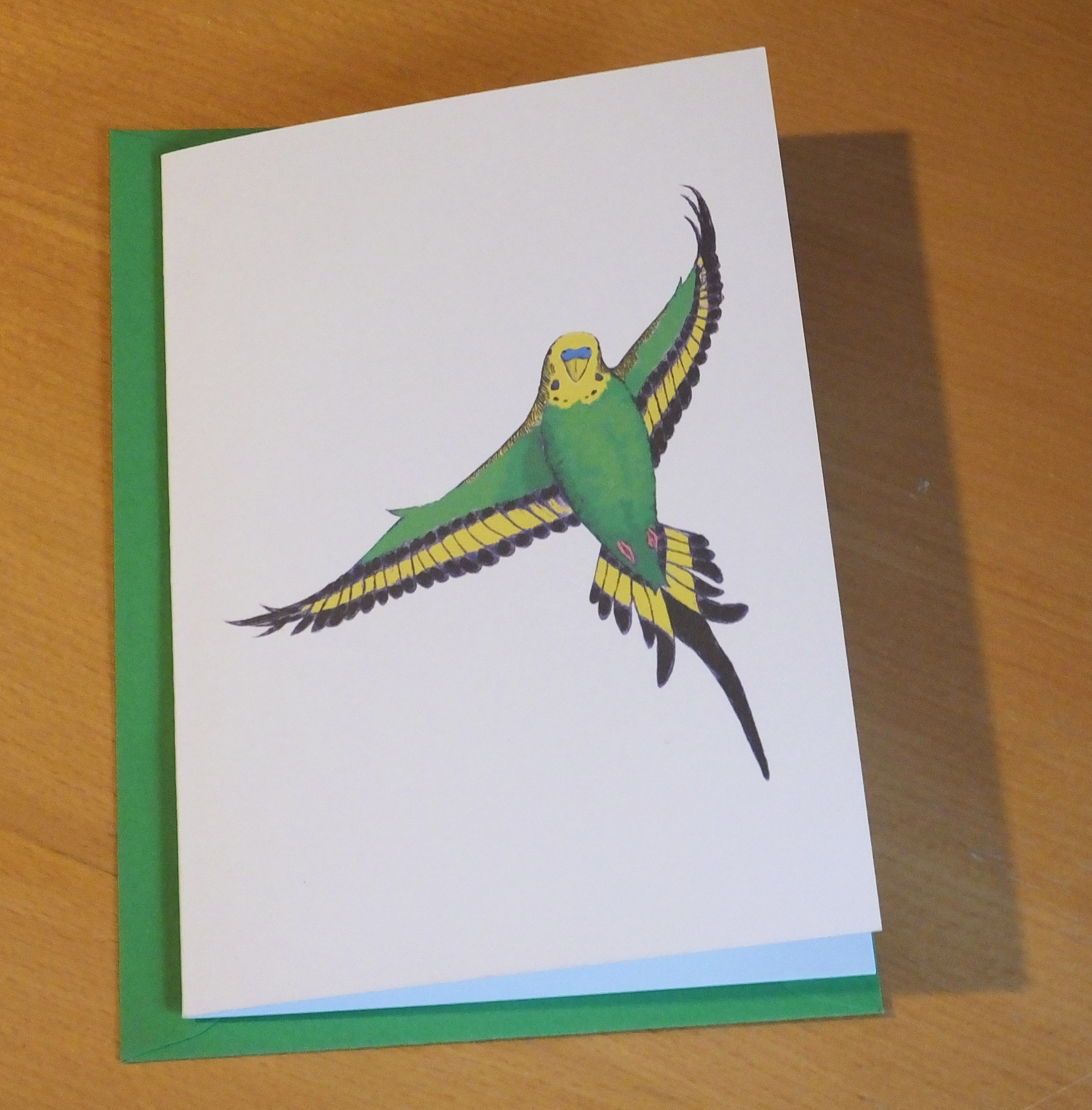 2952x3000 green budgie greeting card bird flying envelope blank etsy