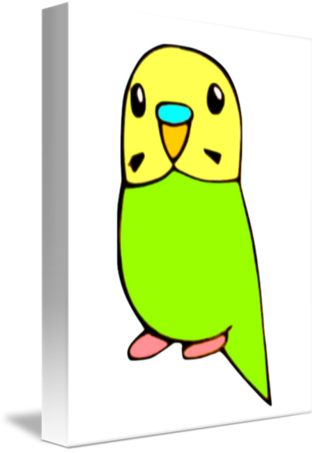 452x650 green budgie