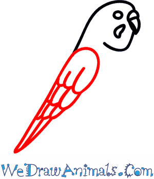 300x350 how to draw a budgie