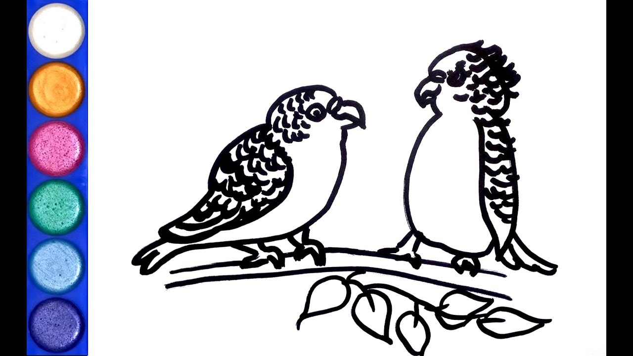 1280x720 how to draw budgie birds with watercolor