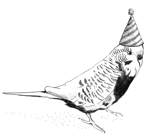 500x460 Laure Allain Party Animal Gevederde Feestneus